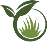 Palm City Landscaping