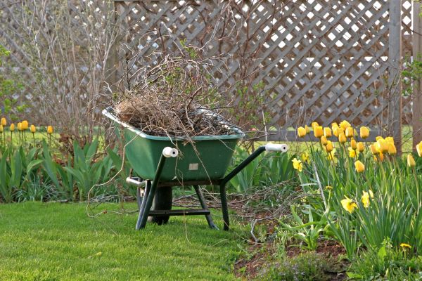 Flower Bed Cleanup Service in Palm City