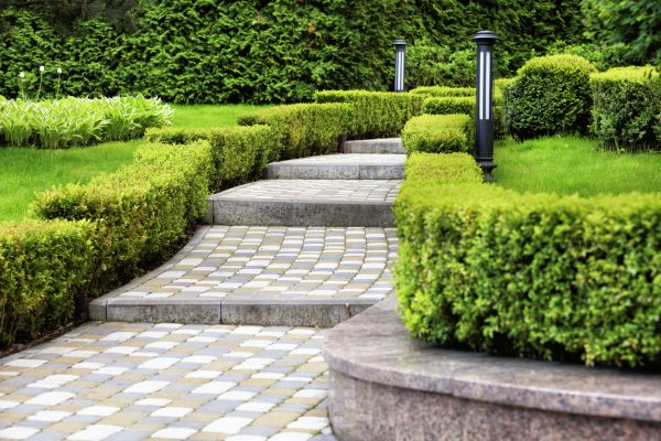 Backyard Remodeling in Palm City