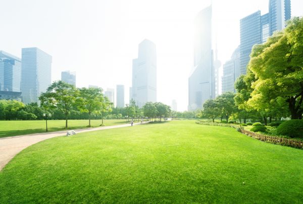 Commercial Landscape Maintenance in Palm City
