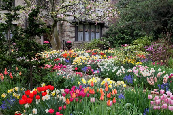 Garden Maintenance Service in Palm City