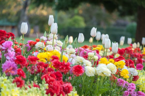 Gardening Service in Palm City