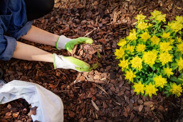 Pine Bark Delivery in Palm City
