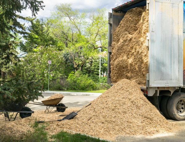 Wood Chips Delivery in Palm City