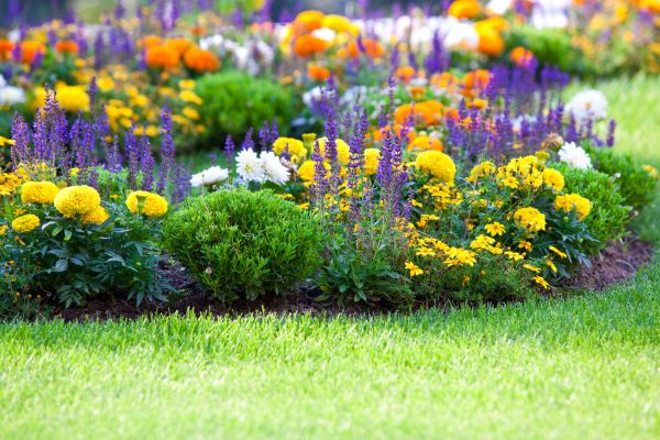Garden Installation in Palm City