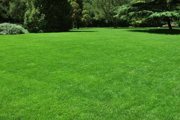 Lawn Landscaping in Palm City