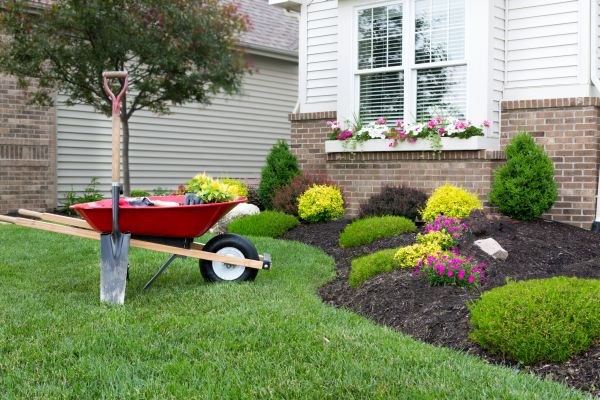 Landscape Maintenance Service in Palm City