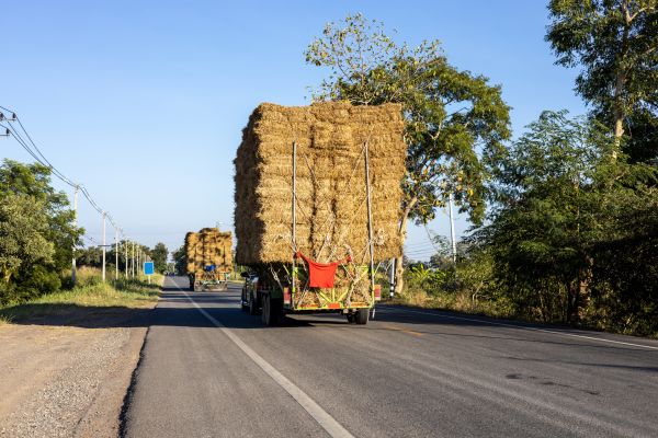 Pine Straw Delivery in Palm City
