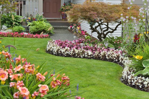 Perennial Landscaping in Palm City