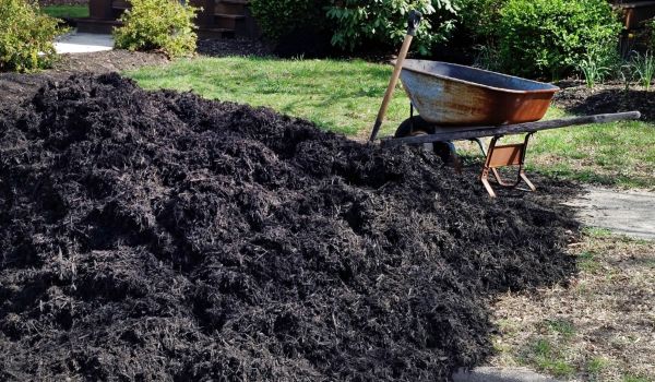 Black Mulch Installation in Palm City