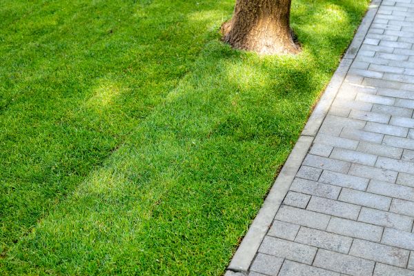 Border Stone Installation in Palm City