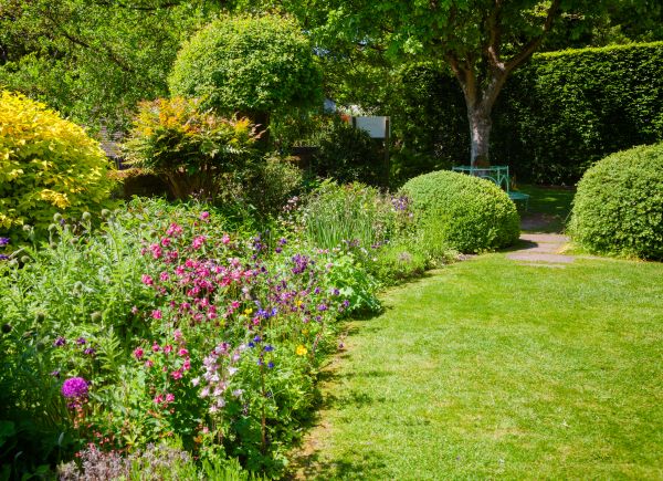 Yard Landscaping Service in Palm City