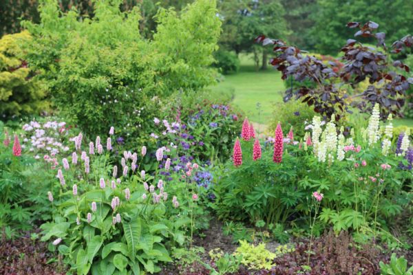 Flower Bed Planting in Palm City
