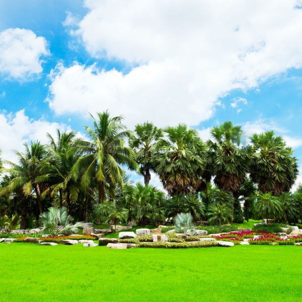 Tropical Landscaping in Palm City