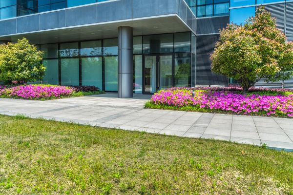 Commercial Gardening in Palm City