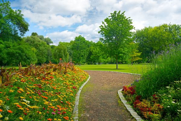 Park Landscaping in Palm City