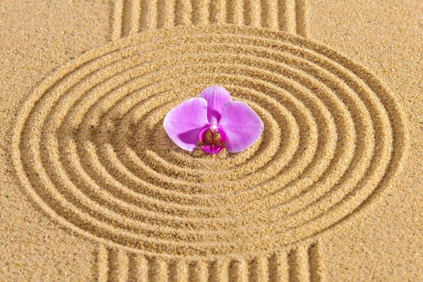 Sand Garden Landscaping in Palm City