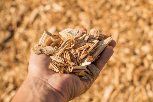 Wood Chips Spreading in Palm City