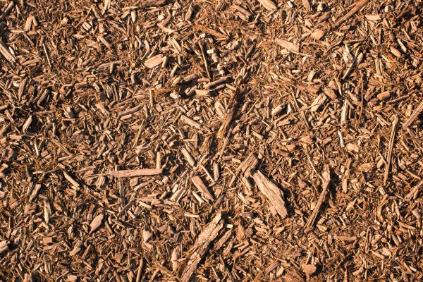 Wood Chips Removal in Palm City