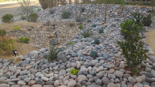 Yard Xeriscaping in Palm City