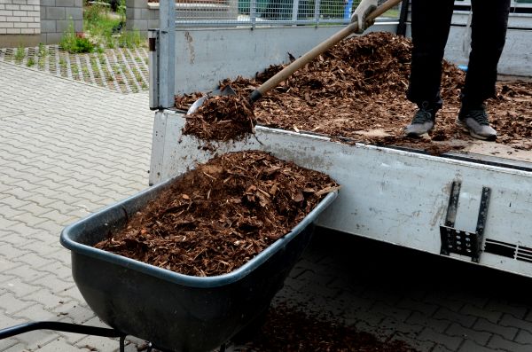 Cedar Mulch Delivery in Palm City