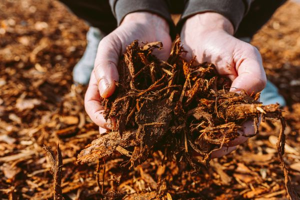 Bark Chips Delivery in Palm City