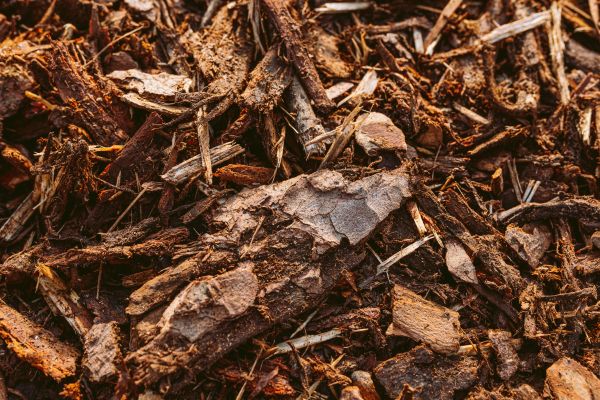 Bark Mulch Delivery in Palm City