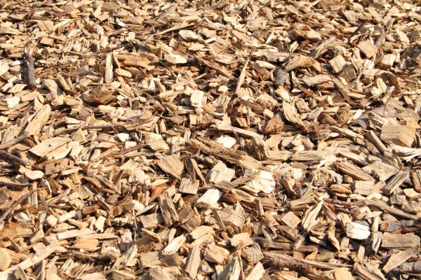 Wood Mulch Delivery in Palm City