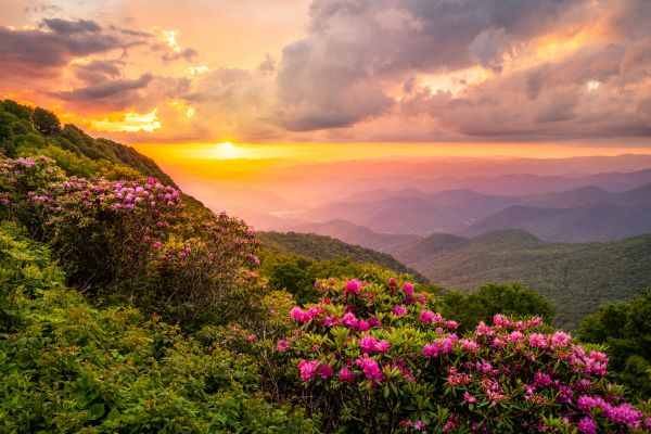 Hill Landscaping in Palm City