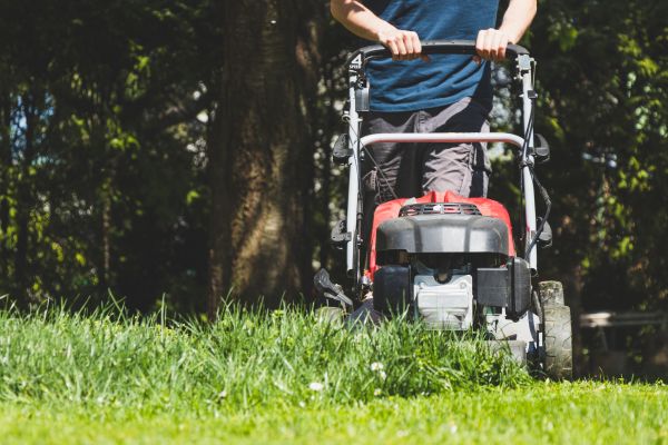 Garden Trimming Service in Palm City