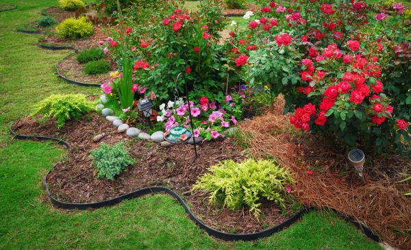 Floral Landscaping in Palm City
