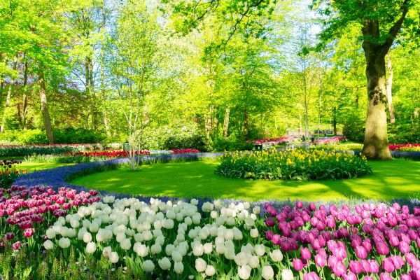 Flower Landscaping in Palm City