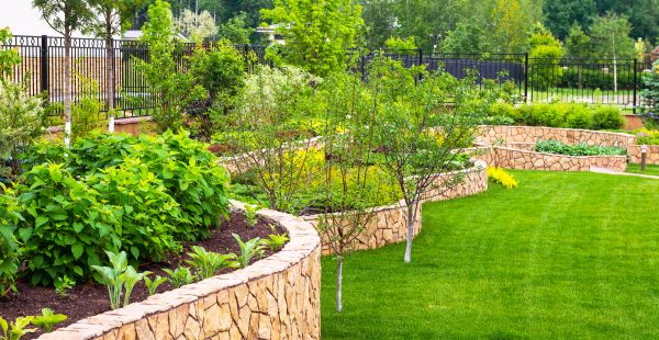 Yard Makeover Service in Palm City