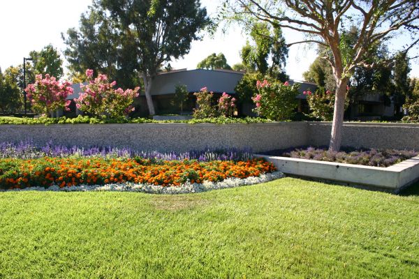 Commercial Landscape Service in Palm City