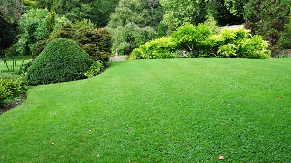Commercial Landscape Design in Palm City
