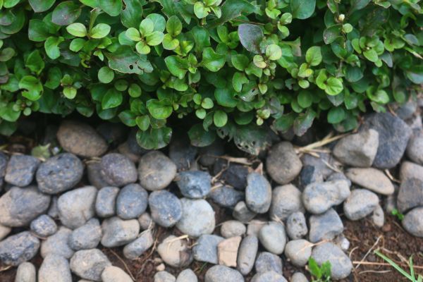 River Stone Installation in Palm City