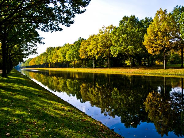 Bank Landscaping in Palm City