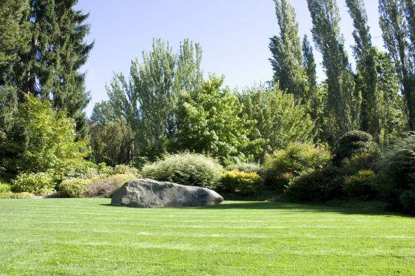 Yard Enlargement in Palm City