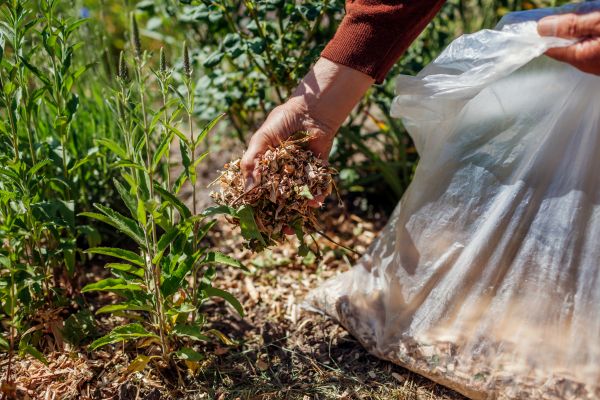 Wood Mulch Installation in Palm City
