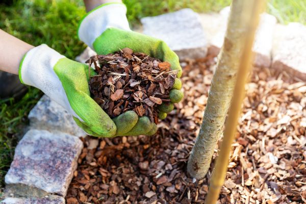 Tree Bark Delivery in Palm City