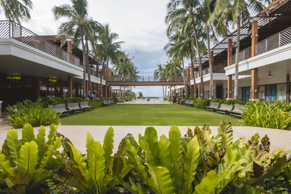 Commercial Lawn Renovation in Palm City