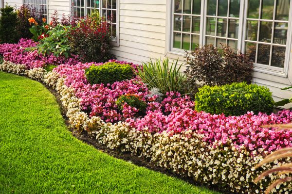 Garden Landscape Design in Palm City