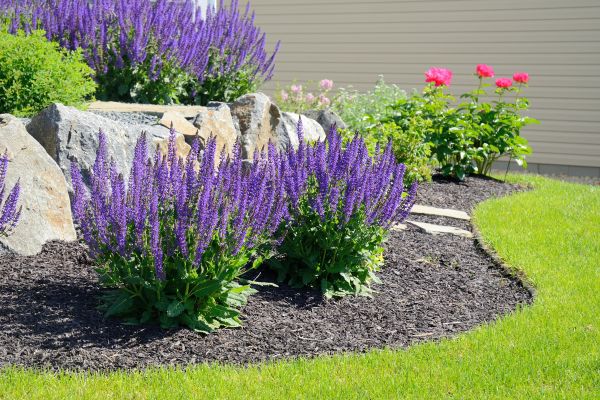 Landscape Planting Service in Palm City