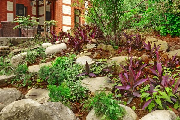 Rock Garden Landscaping in Palm City
