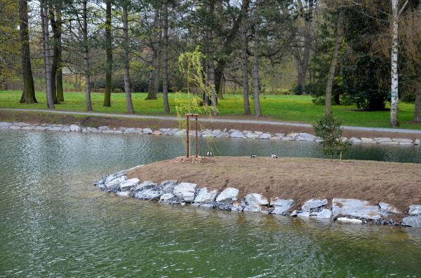 Pond Landscaping Service in Palm City