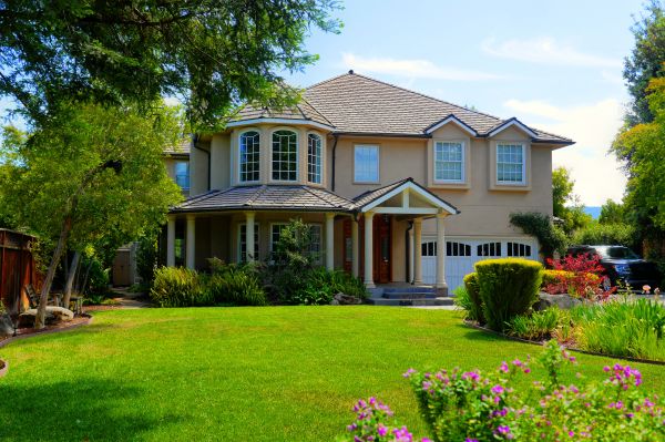 Large Yard Landscaping in Palm City