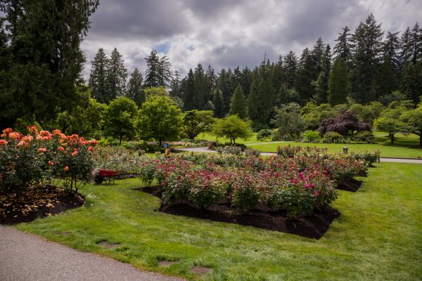Flower Garden Landscaping in Palm City