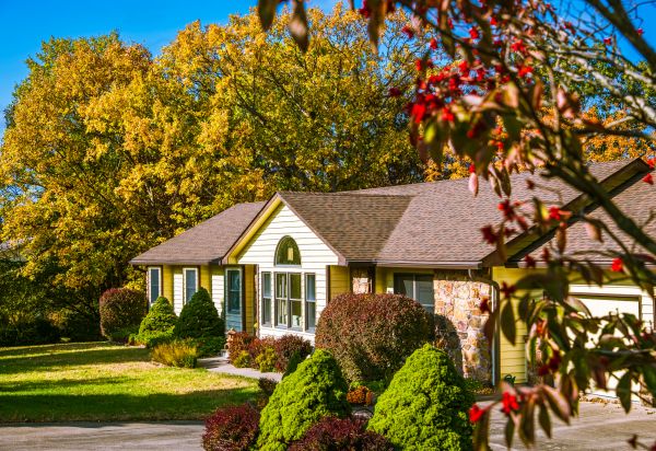Ranch Landscaping in Palm City