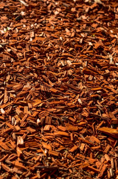 Cedar Mulch Spreading in Palm City