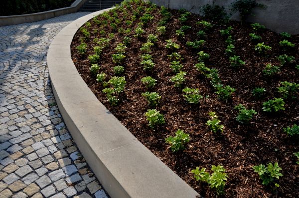 Commercial Mulching in Palm City